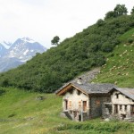 Appartement dans Chalet - Arnica