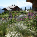 Appartement dans Chalet - Cléopatra